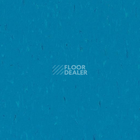 Линолеум Forbo Marmoleum Solid Piano 3645-364535 Neptune blue фото 1 | FLOORDEALER